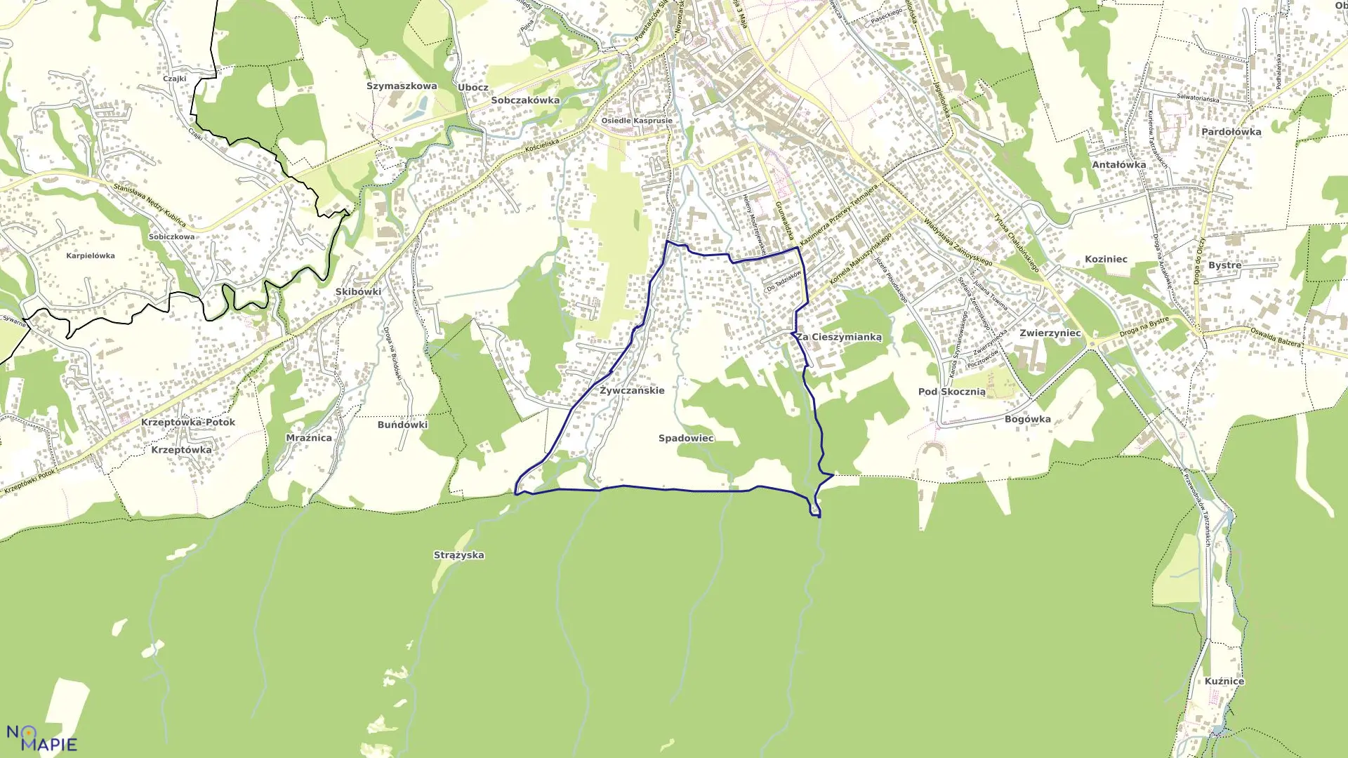 Mapa obrębu 009 w mieście Zakopane