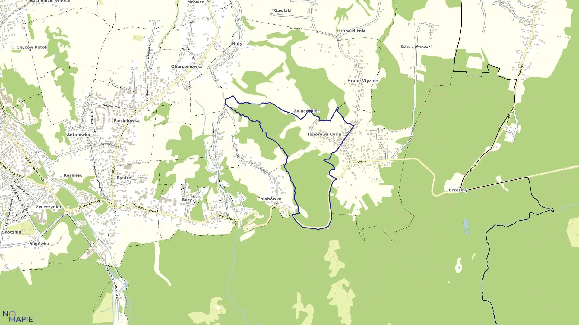 Mapa obrębu 030 w mieście Zakopane