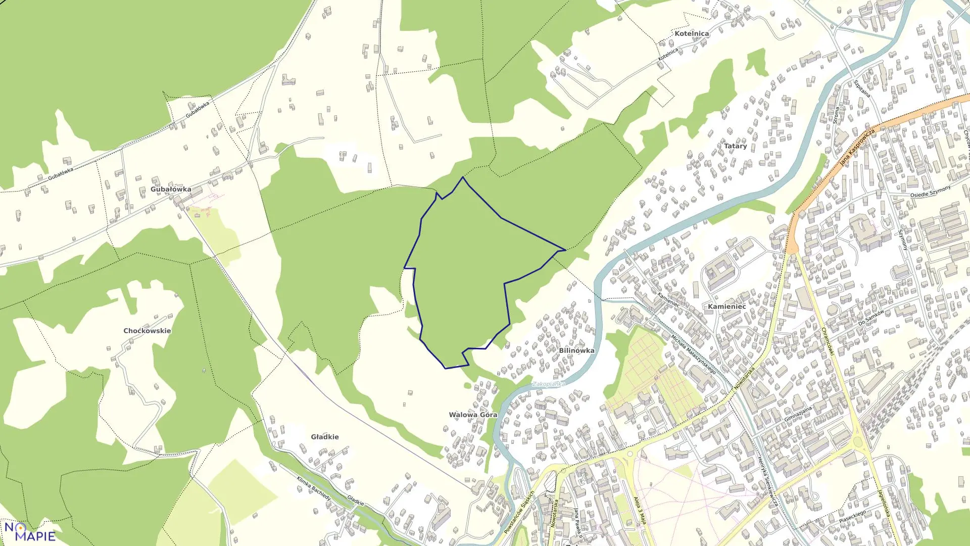 Mapa obrębu 061 w mieście Zakopane