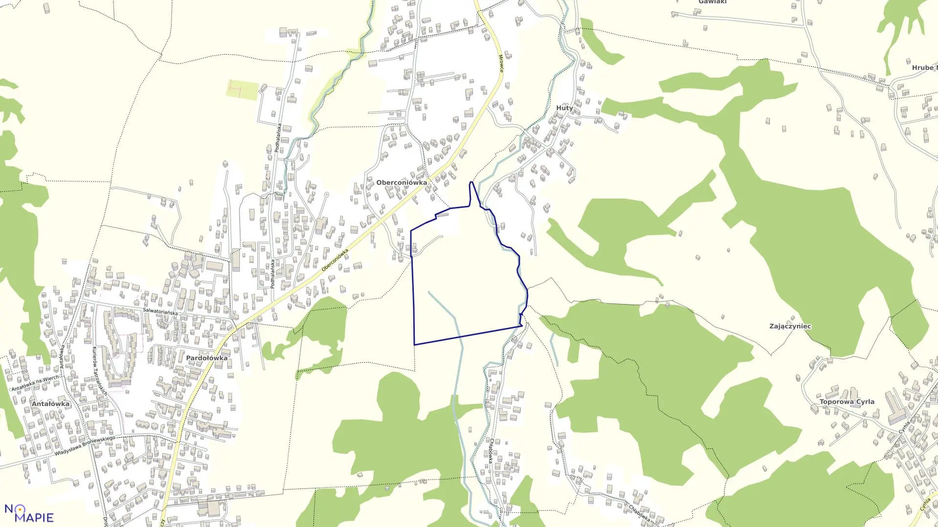 Mapa obrębu 110 w mieście Zakopane